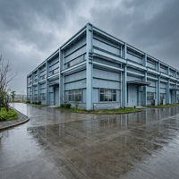 Edificio de taller moderno con estructura de acero prefabricada Q355B con gran muro cortina de vidrio para fábrica industrial o sala de exposiciones
