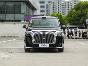 Plug-in ibrido medio e grande MPV 5 porte 7 posti MPV Changcheng grande muro WEI WEY High Mountain Car 4WD - Product Image 5