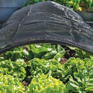 Migliore qualità pesante PE serra telo parasole pazzo prezzo giardino ombra di rete per l'agricoltura per la protezione solare - Product Image 5
