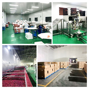 Suministro de Fábrica: Hojuelas de Remolacha Azucarada Pelada, Secas al Aire, Vegetales Deshidratados Naturales en Forma de Cubo, Envasado al Vacío, Jilin - Product Image 6