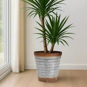 <span class=keywords><strong>Maceta</strong></span> Moderna Ecológica de Plástico para Jardín y Hogar, Circular, Cónica, Cilíndrica - Product Image 4