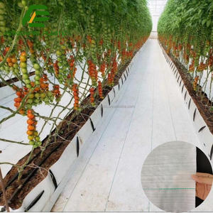 Malla Antihierbas Blanca para Jardines y Huertos, 2m X 50m, Membrana Antihierbas con Clavos <span class=keywords><strong>de</strong></span> Plástico para Fijación - Product Image 1