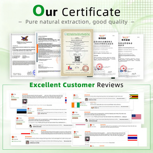 <span class=keywords><strong>Capsule</strong></span> de biotine et de collagène Brain Vitale, fabrication GMP ISO HACCP, <span class=keywords><strong>prix</strong></span> OEM rapide, étiquette privée, <span class=keywords><strong>prix</strong></span> réduit - Product Image 6