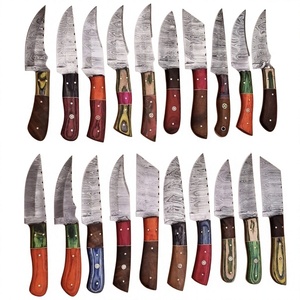 Rajput <b>Knives</b> Handcrafted Industrial Grade Damascus Steel Fixed Blade Hunter/Camping <b>Knife</b> Wood <b>Handle</b> Clip Point 20cm 3-Year - Product Image 4