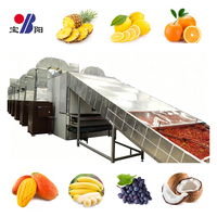 Baoyang Mini Multi-layer Mesh Belt Dehydrator Droger voor Voedselverwerking, Gezins- & Industrieel Gebruik, 220V-460V, 1 Jaar Garantie