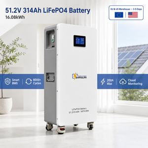 แบตเตอรี่เก็บพลังงานแสงอาทิตย์แบบออฟกริด 16kWh 51.2V 314Ah พร้อมระบบตรวจสอบผ่านคลาวด์ WiFi Smart BMS 6000+ รอบการใช้งาน สำหรับบ้านเคลื่อนที่ คลังสินค้า EU - Product Image 1