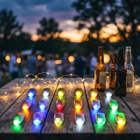 Vente en gros de lumières LED pour ballons en plastique transparent en forme de balle, pour intérieur et extérieur, pour anniversaires d'adultes, Noël, fêtes chinoises, décoration