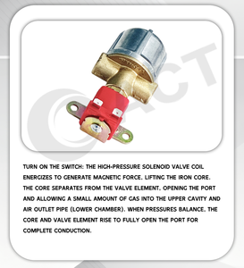 ACT LPG/CNG圧力調整システム用耐久性LPG-ATKソレノイドバルブ12V - Product Image 6