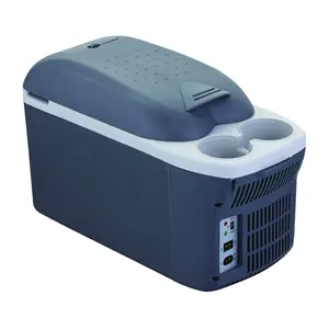 Hot Koop Koelkast Auto Mini Auto Koelkast 8L Koelkasten Kleine Koelkast 12V Dc Cooler