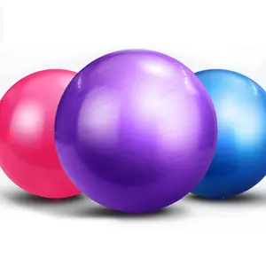 Custom Sized Anti Burst Balance Exercise Ball With Hand Pump Pvc Gym Yoga Ball