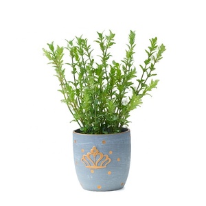 Amazon Venta caliente artificial plantas suculentas para el hogar mesa de Oficina Decoración barco forma <span class=keywords><strong>bonsai</strong></span> - Product Image 5