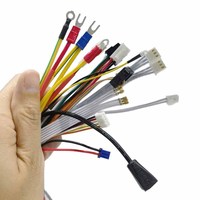 Conjunto de Cableado Personalizado con Terminales JST Molex, Cable OEM ODM para Automoción, Industria, Conector Eléctrico de Cobre y PVC