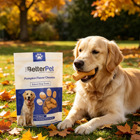 Sac d'emballage personnalisé en PET/PE de qualité alimentaire, thermoscellable et refermable avec fermeture éclair, pour aliments pour chiens, aliments pour chats, friandises pour animaux de compagnie