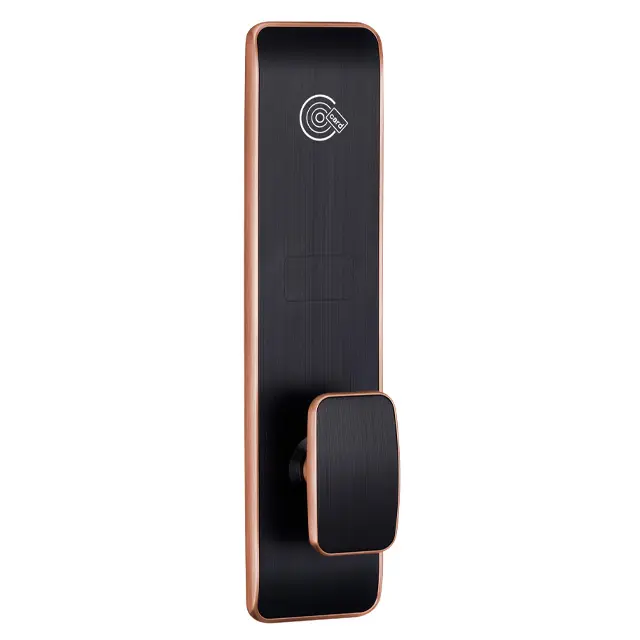 BQ Personalized Design of Luxury Hotel Lock with Door Lock Management System the wooden door hotel lock