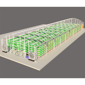 African Mushroom <b>Greenhouse</b> Commercial Mushroom Growing <b>Greenhouse</b> 10x30m | Humidity Control + Ventilation System - Product Image 2