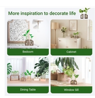 Ivolador marron hydroponique plantation panier bois écologique Art décor forme irrégulière maison bureau planteur Pots de fleurs jardinières