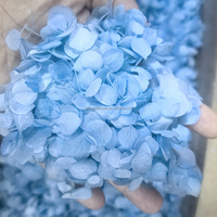 Pétales de fleurs séchées décoratifs, hortensia, rose, confettis écologiques, mariage et fête des mères, plusieurs couleurs, 20g