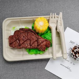 Piatti biodegradabili usa e getta vassoi modellati in pasta di <span class=keywords><strong>carta</strong></span> bagassa di canna da zucchero - Product Image 4