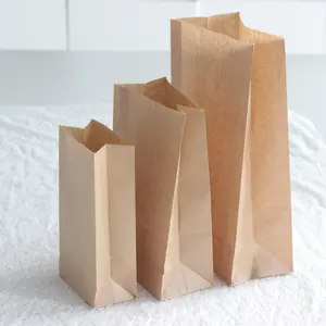 Custom Bio Degradable Disposable Brown Kraft Paper Bags For Food Takeaway Delivery Bag