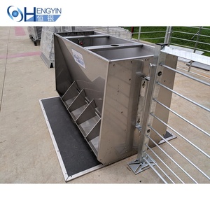 Alimentador seco/húmedo para sistemas automáticos de alimentación de cerdos Alimentador automático de cerdos - Product Image 3