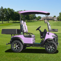 Voiturette de golf électrique violette homologuée pour la route, 2 places, sièges réglables, batterie au lithium, vitesse 30-50 km/h, autonomie 90 km, pour parcours de golf