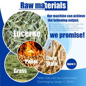 Richi cỏ clippings nhiên liệu PELLET thực vật 3-4t/h miễn phí tùy chỉnh siêu chất lượng SINH KHỐI rơm PELLET Máy SINH KHỐI - Product Image 2