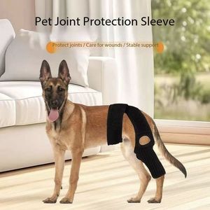 Protector de Articulaciones para Perros y Gatos - Material SBR Ligero y Plegable para Protección de Rótula y Ligamentos, Ayuda de Rehabilitación - Product Image 6