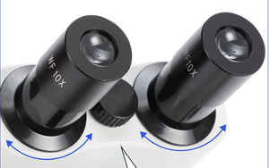 107BNC 현미경 스테레오 실험실 복합 쌍안 현미경 시리즈 생물학 현미경 40X-200X 교육용 어린이용 - Product Image 4