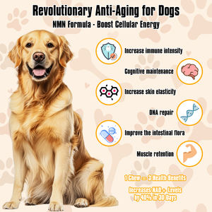 Dogana longevità cane mastica-Anti-invecchiamento Pet integratore di assistenza sanitaria con NMN & resveratrolo vitamine integratore per gatti OEM - Product Image 2