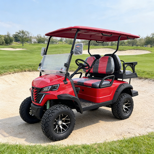 Voiturette de golf compacte WOLAN Source Plant Support personnalisable au lithium 4 places pour accès en villas et jardins à allées étroites - Product Image 6