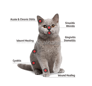 Terapia de mascotas con diodo láser 30W 980nm alivio del dolor Hospital animal recuperación de heridas fisioterapia uso veterinario máquina de tratamiento - Product Image 6