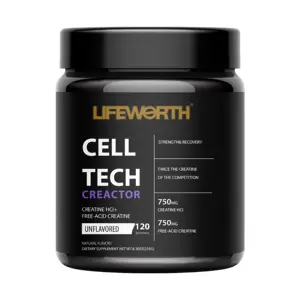 Lifeworth Private Labels Sports Supplements Halal BCAA Creatine Powder Supplement Flavoured Bulk Micronised Creatine