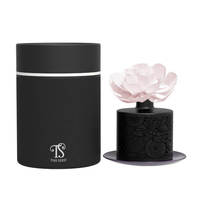 Bouteille d'huile parfumée de 200 ml avec diffuseur de roseaux en pierre de plâtre céramique personnalisée