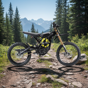 Vélo électrique tout-terrain de montagne Light X 2025 avec moteur central puissant, batterie lithium 60V 40Ah - Product Image 4