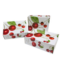 Gevouwen golfkartonnen fruit- en groenteverpakking voor sinaasappels en appels met matte laminatie, embossing & bedrukking