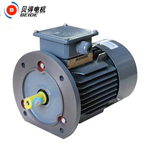 Moteur série 1TL0003 0,55-315KW 2P 3000RPM |   Moteur asynchrone triphasé basse tension IE2 à économie d'énergie 220V/380V IP55 - Product Image 1
