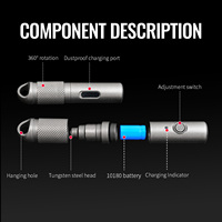 TGZUO Mini lampe torche en alliage de titane de qualité supérieure, résistante à l'eau IPX6, charge rapide de type C, 300 lumens, torche de poche EDC, gris