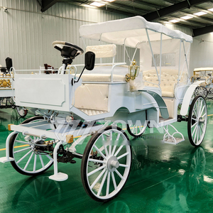 รถม้าโบราณสุดหรูสไตล์วิคตอเรียนสำหรับการท่องเที่ยว  รถม้าไฟฟ้าโบราณสุดหรูสำหรับการชมวิว  รถม้าลากม้าสุดสง่างามสำหรับการท่องเที่ยว  ขาย - Product Image 4