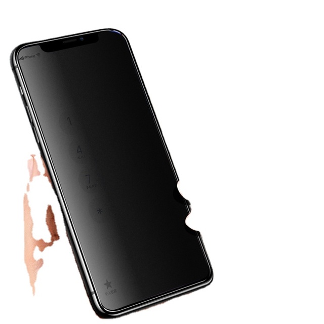 Full Screen Privacy 2.5D 0.33mm 9H Ultra-Thin Tempered Glass Anti-spy Film for 11/13 Pro Max/12 Screen Protector