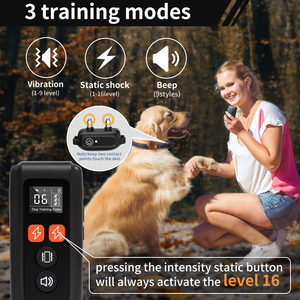 <span class=keywords><strong>Collier</strong></span> de dressage pour chien ultrasonique rechargeable IP67 étanche avec télécommande et fonction <span class=keywords><strong>anti</strong></span>-<span class=keywords><strong>aboiement</strong></span> en plastique – Modèle 2026 - Product Image 1