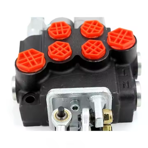 Válvula Manual y de Joystick P40-G12-G38-OT-QTW, Diseñada a Medida para Satisfacer Requisitos Específicos, Colaboración OEM/ODM - Product Image 6