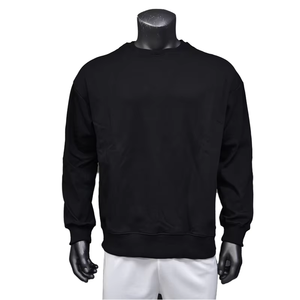 Sweat-shirts à capuche 100 % coton personnalisés de haute qualité pour hommes, manches classiques, collection automne, offre ODM en gros - Product Image 2