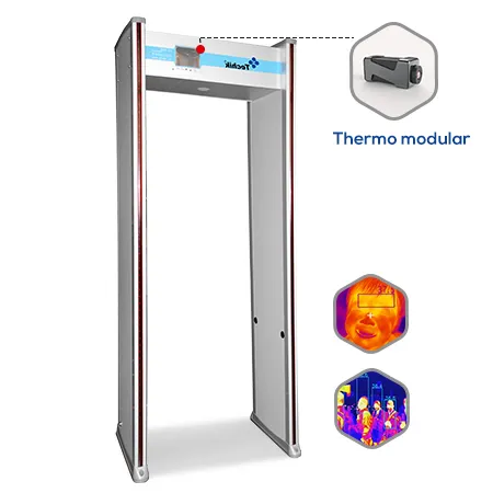 walkthrough Thermo TE-SD2 metal detector