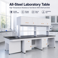 Banc de travail de laboratoire en acier haute résistance, résistant aux hautes températures, avec étagère et évier