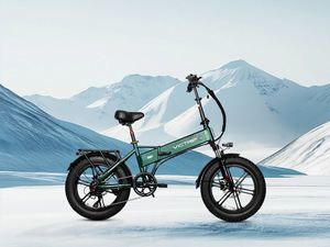 Vélo électrique pliable Daily Electric Ebike 500w avec moteur sans balais Victrip, idéal pour la livraison de nourriture en ville - Product Image 6
