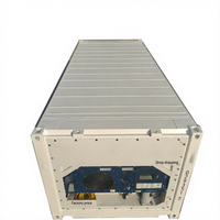 Conteneur frigorifique de 20 pieds avec acier Corten, capacité de 28 m³, certifié ISO9001, stockage frigorifique