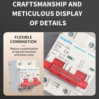Disjoncteur modulaire DZ47-125 2P 6KA Courbe C, capacité de coupure 230/400V AC, montage sur rail DIN, OEM LONGTAI, certifié CE