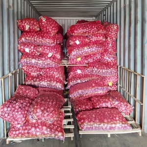 Nueva cosecha cebolla fresca cebolla roja no pelada mejor precio amarillo rojo 10kg 20kg bolsa de malla cebolla para exportación - Product Image 6