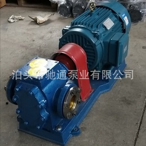 Bomba de engranajes horizontal de hierro fundido Rcb Asphalt Thermal Insulation Pump 25 M3 H para transporte de productos químicos - Product Image 2