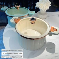 Marmite à pression en fonte émaillée romaine transfrontalière, grande capacité, multifonctionnelle, avec double poignée, pour soupes et ragoûts, en verre